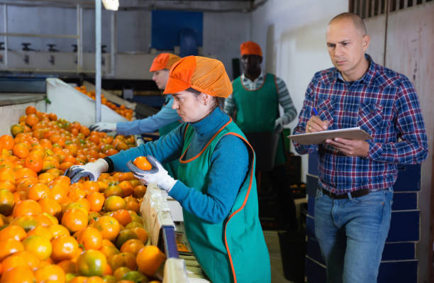 Apply for WFP Internships 2024: Step-by-Step Guide